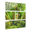 The Ancient FERN Plant - El Yunque Rainforest - Nikon D850 - Triptych Acrylic Print – Forest Creek Landscape Wall Art