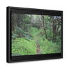 Rainforest Trails & Views - Gallery Canvas Wraps, Horizontal Frame - El Yunque National Forest - Tradewinds trail - cloud forest - Green Forest Home