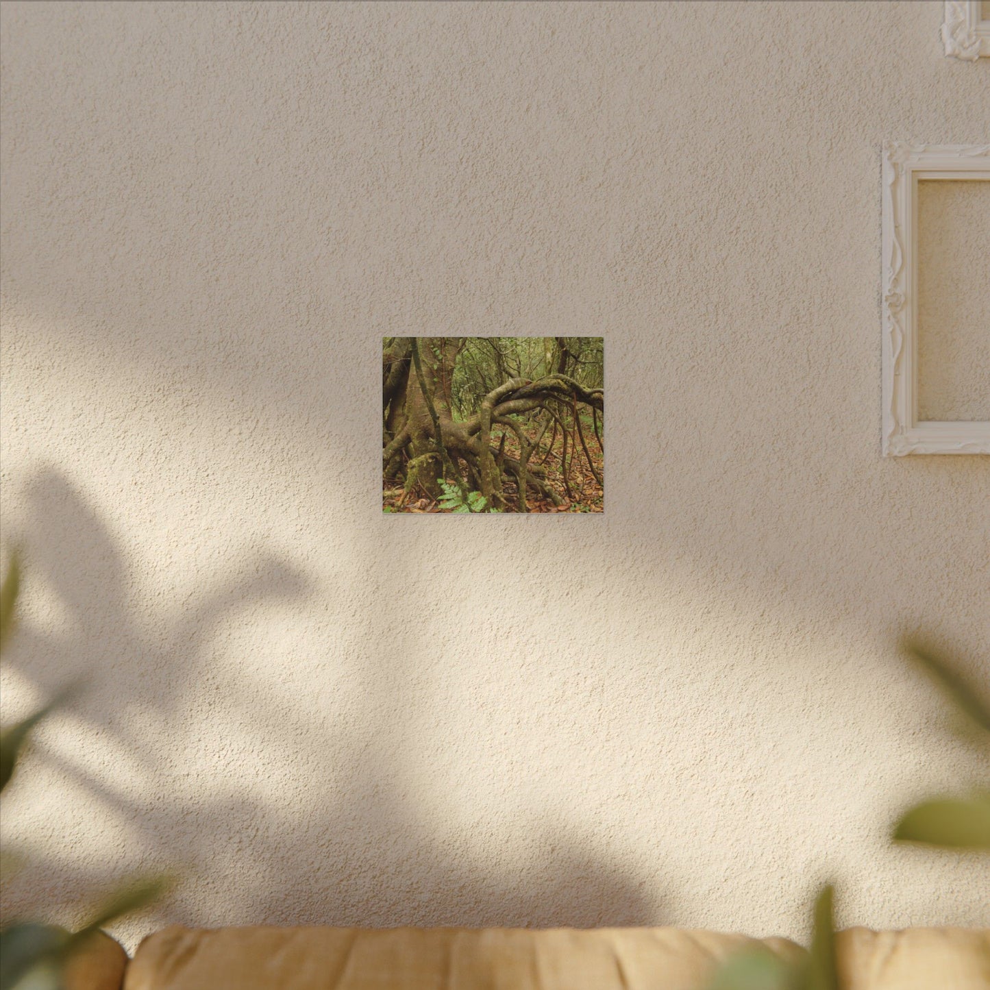 Complex of Tree Roots Canvas Wall Art — Woodland Forest Photography - In Tradewinds trail CLOUD FOREST - Trees have these roots to survive hurricanes
