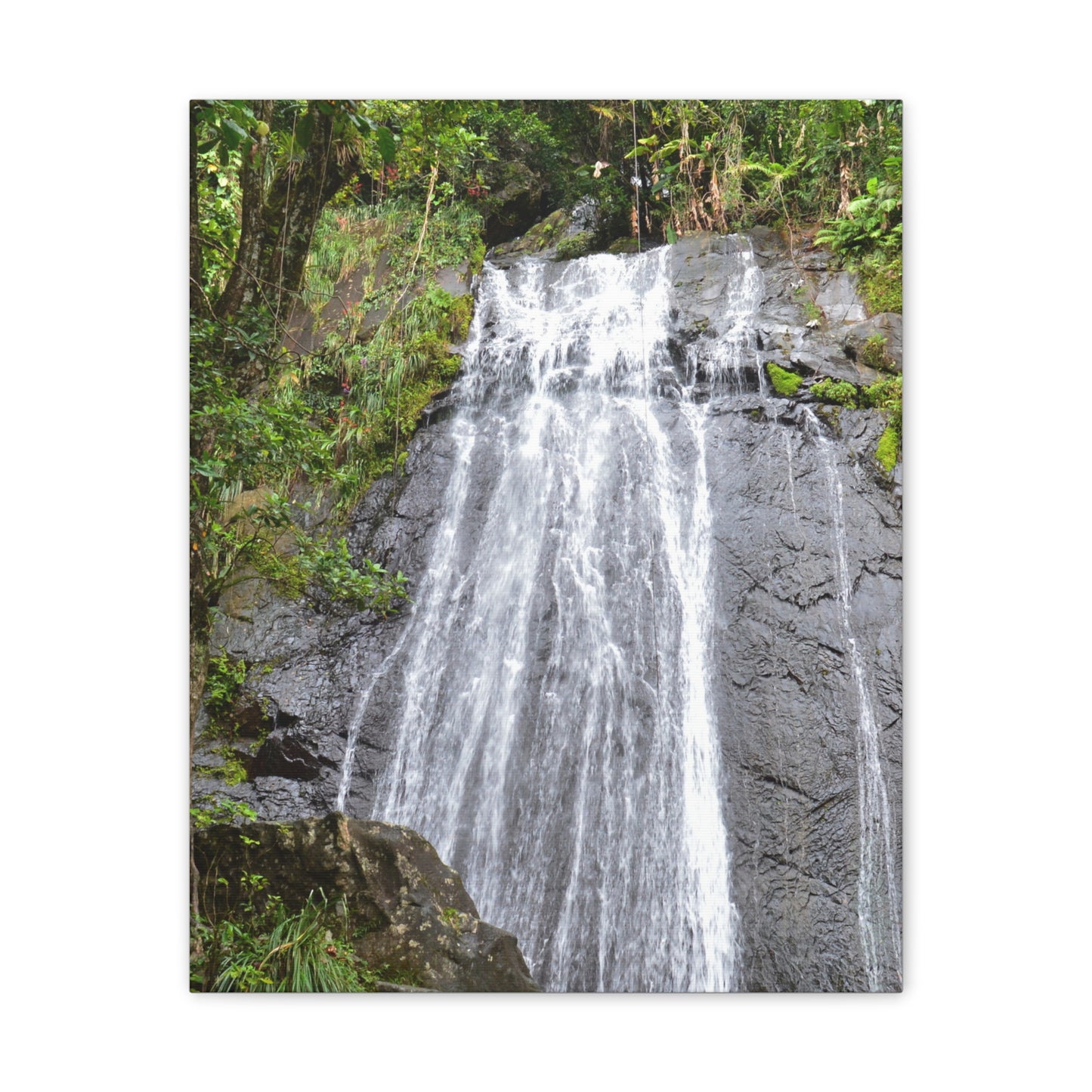Waterfall Canvas Print — El Yunque La Coca Falls - Nikon D850 Tropical Nature Wall Art, Stretched 0.75"