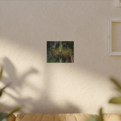 Tropical Fern Canvas Wall Art – Lush Rainforest Botanical Print - El Yunque Rainforest - Puerto Rico - Deep forest explorations - Sierra Palm seeds