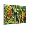 Tropical Heliconia Canvas Print — El Yunque rainforest - Vibrant Jungle Wall Art