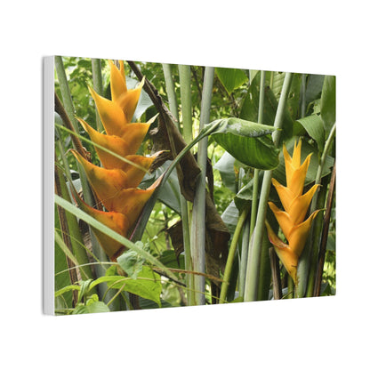 Tropical Heliconia Canvas Print — El Yunque rainforest - Vibrant Jungle Wall Art