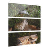 Deep Forest Explorations - Pristine Rio Sabana  & Flash Flood- El Yunque RainForest  - Nikon D850 - Tropical Rivers Triptych Acrylic Print – Panoramic Jungle Wall Aert