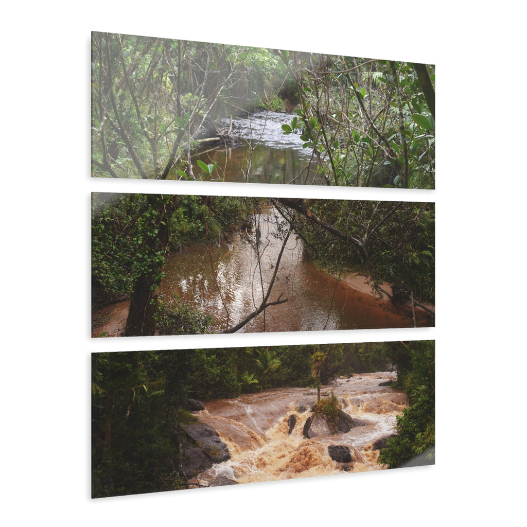 Deep Forest Explorations - Pristine Rio Sabana  & Flash Flood- El Yunque RainForest  - Nikon D850 - Tropical Rivers Triptych Acrylic Print – Panoramic Jungle Wall Aert