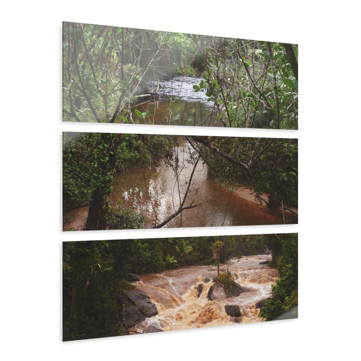 Deep Forest Explorations - Pristine Rio Sabana  & Flash Flood- El Yunque RainForest  - Nikon D850 - Tropical Rivers Triptych Acrylic Print – Panoramic Jungle Wall Aert