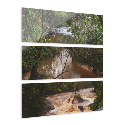 Deep Forest Explorations - Pristine Rio Sabana  & Flash Flood- El Yunque RainForest  - Nikon D850 - Tropical Rivers Triptych Acrylic Print – Panoramic Jungle Wall Aert