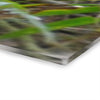 Deep Forest Explorations - Jose Explores - El Yunque Holy Spirit River - Nikon D850 - Nikon D850 - Triptych Acrylic Print – Forest Creek Landscape Wall Art