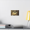 Tradewinds Trail - Fallen Colorful Leaf - Matte Canvas Print — Stretched Wall Art - El Yunque Rainforest - Puerto Rico - Deep forest explorations