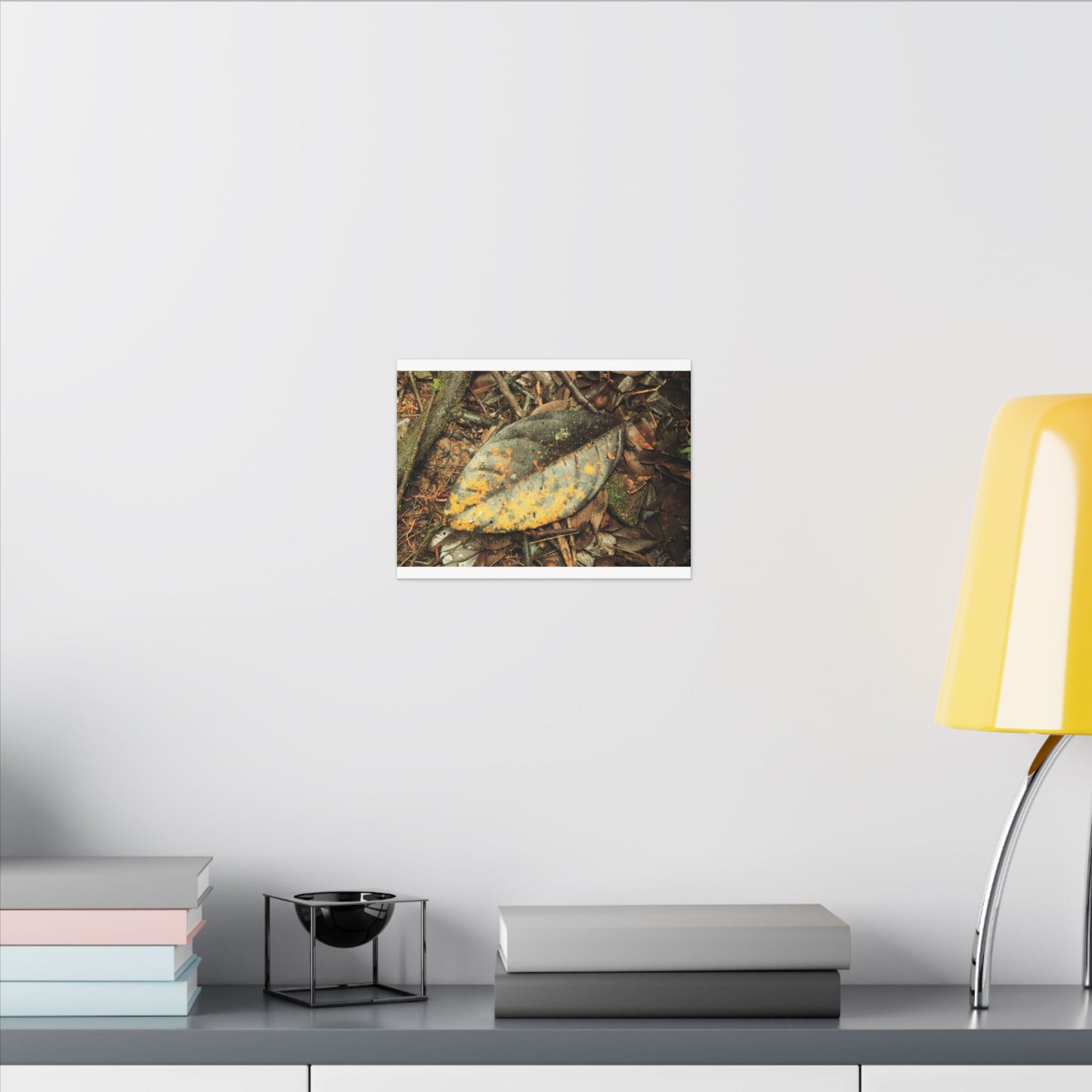 Tradewinds Trail - Fallen Colorful Leaf - Matte Canvas Print — Stretched Wall Art - El Yunque Rainforest - Puerto Rico - Deep forest explorations