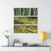 El Yunque Rainforest -Bamboo Variety Protecting Roads - Nikon D850 - Triptych Acrylic Print – Forest Creek Landscape Wall Art