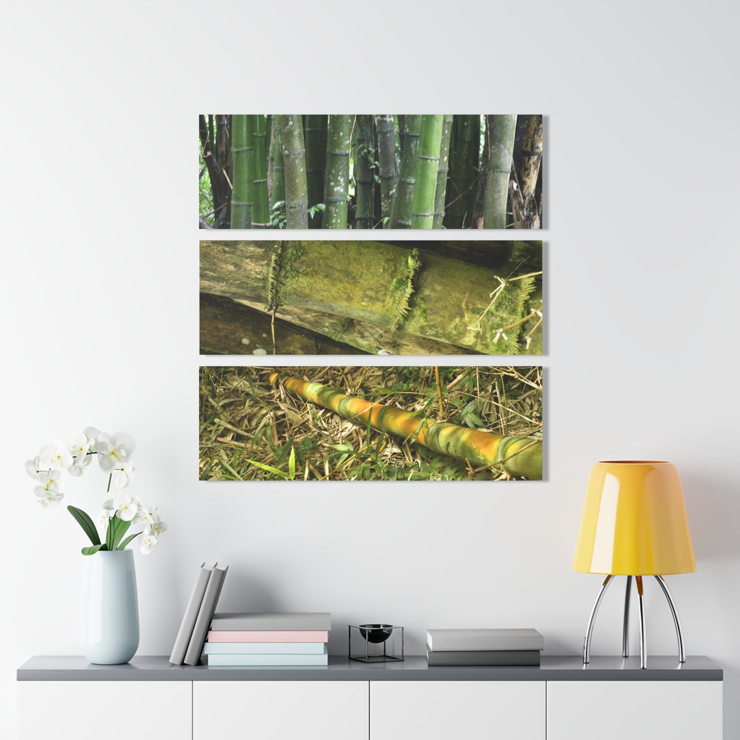 El Yunque Rainforest -Bamboo Variety Protecting Roads - Nikon D850 - Triptych Acrylic Print – Forest Creek Landscape Wall Art