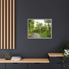 Tropical Vista Matte Canvas Framed Wall Art — Lush Mountain road the PR 191 High forest - El Yunque rainforest PR