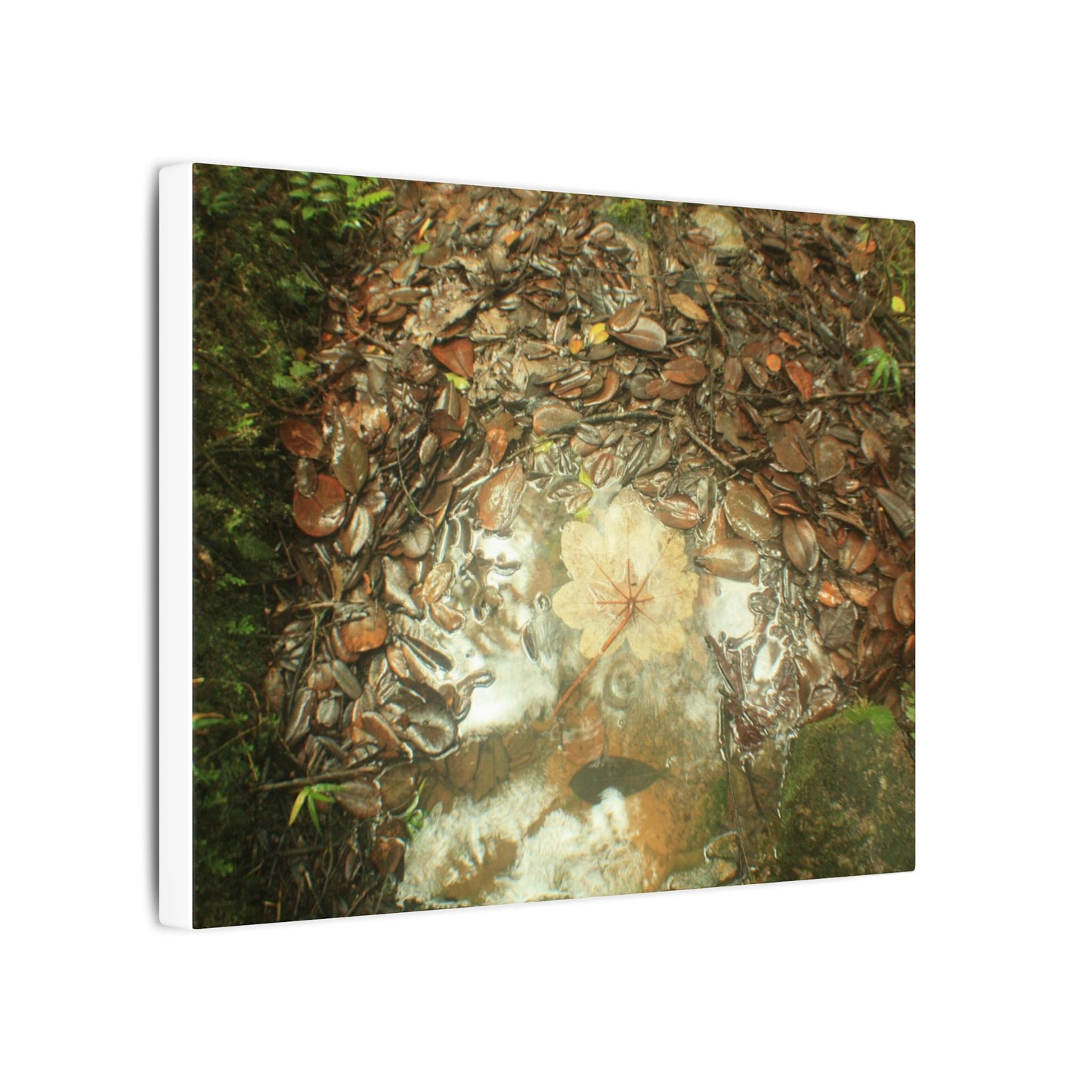 Autumn Leaf Reflection Matte Canvas Wall Art — Nature Forest Stream Print - Yagrumo leaf in middle of many decomposing leafs - Amazing symmetry - Tradewinds trail