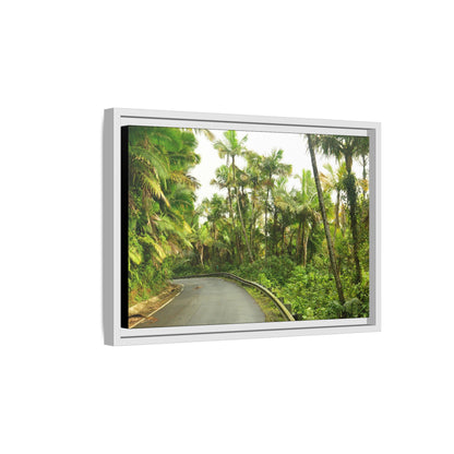 Tropical Vista Matte Canvas Framed Wall Art — Lush Mountain road the PR 191 High forest - El Yunque rainforest PR