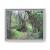 Tropical Vista Matte Canvas Framed Wall Art — Magic section of the remote Tradewinds Trail -  El Yunque rainforest PR