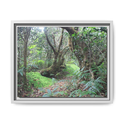 Tropical Vista Matte Canvas Framed Wall Art — Magic section of the remote Tradewinds Trail -  El Yunque rainforest PR