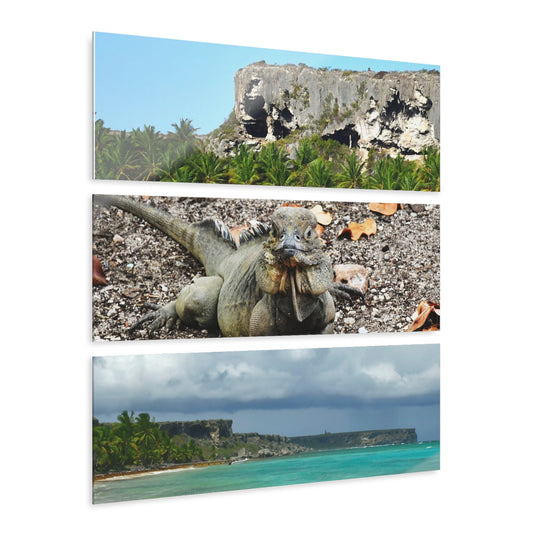 Exploring the remote Mona Island - Caves, Iguanas and Los Pajaros Beach  - Nikon D850 - Tropical Mountains Triptych Acrylic Print – Panoramic Jungle & Ocean Wall Art
