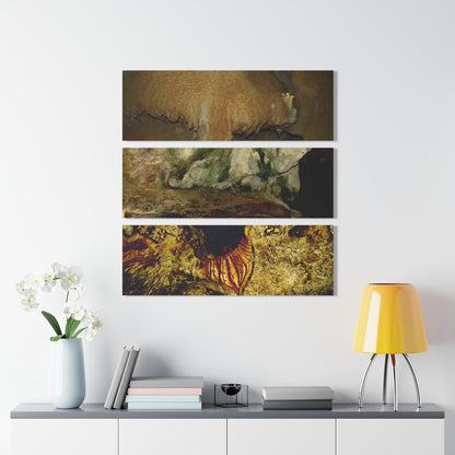 Remote Mona Island Art - The  Cave 'BRAIN' and two Color Enhanced Caves - Nikon D850 - Triptych Acrylic Print – Marvel Islands of Puerto Rico