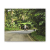 Tropical Road Walk Canvas — Couple with cat and dog in El Yunque - Scenic Nature Wall Art