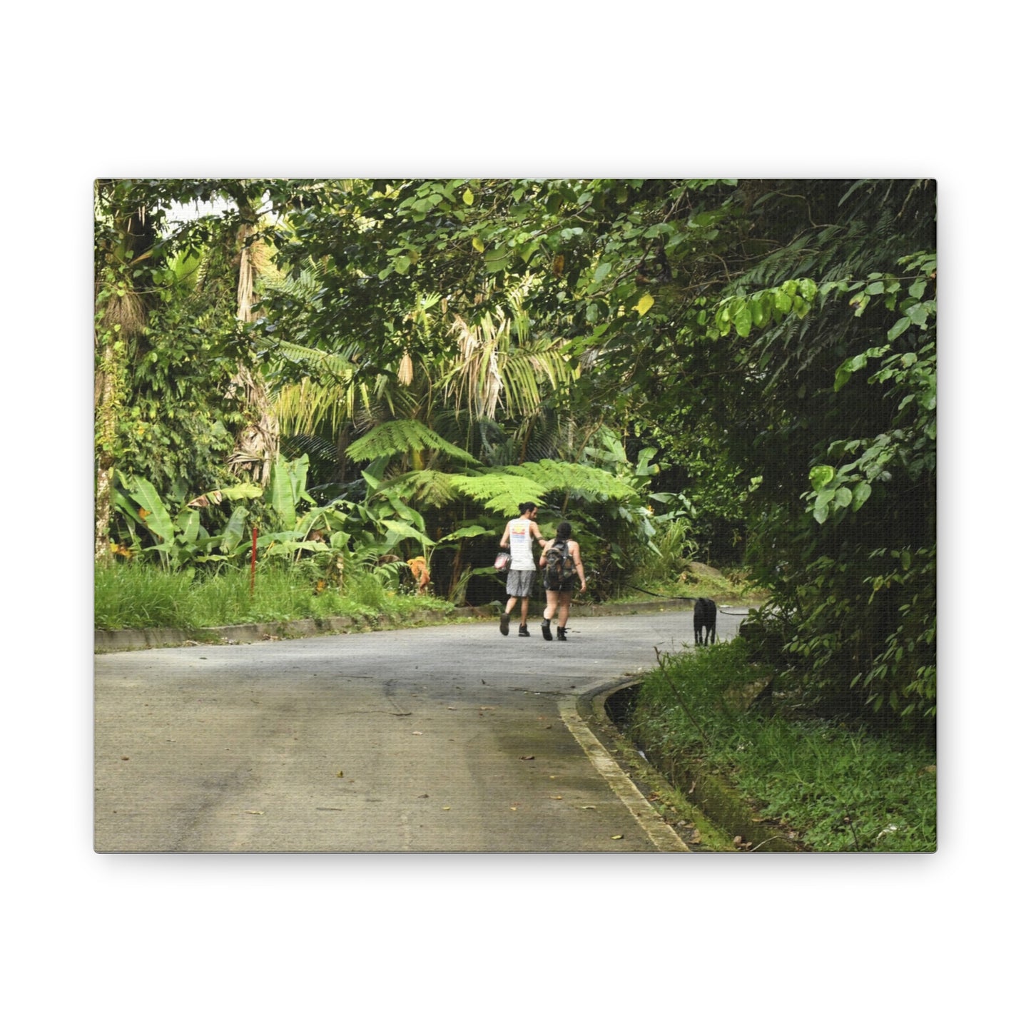Tropical Road Walk Canvas — Couple with cat and dog in El Yunque - Scenic Nature Wall Art
