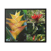 Tropical Vista Matte Canvas Framed Wall Art - Forest explorations - Deep in El Yunque rainforest PR - Mosaic#1 of the Flowers of El Yunque rainforest