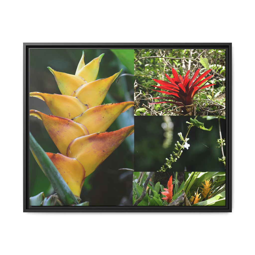 Tropical Vista Matte Canvas Framed Wall Art - Forest explorations - Deep in El Yunque rainforest PR - Mosaic#1 of the Flowers of El Yunque rainforest