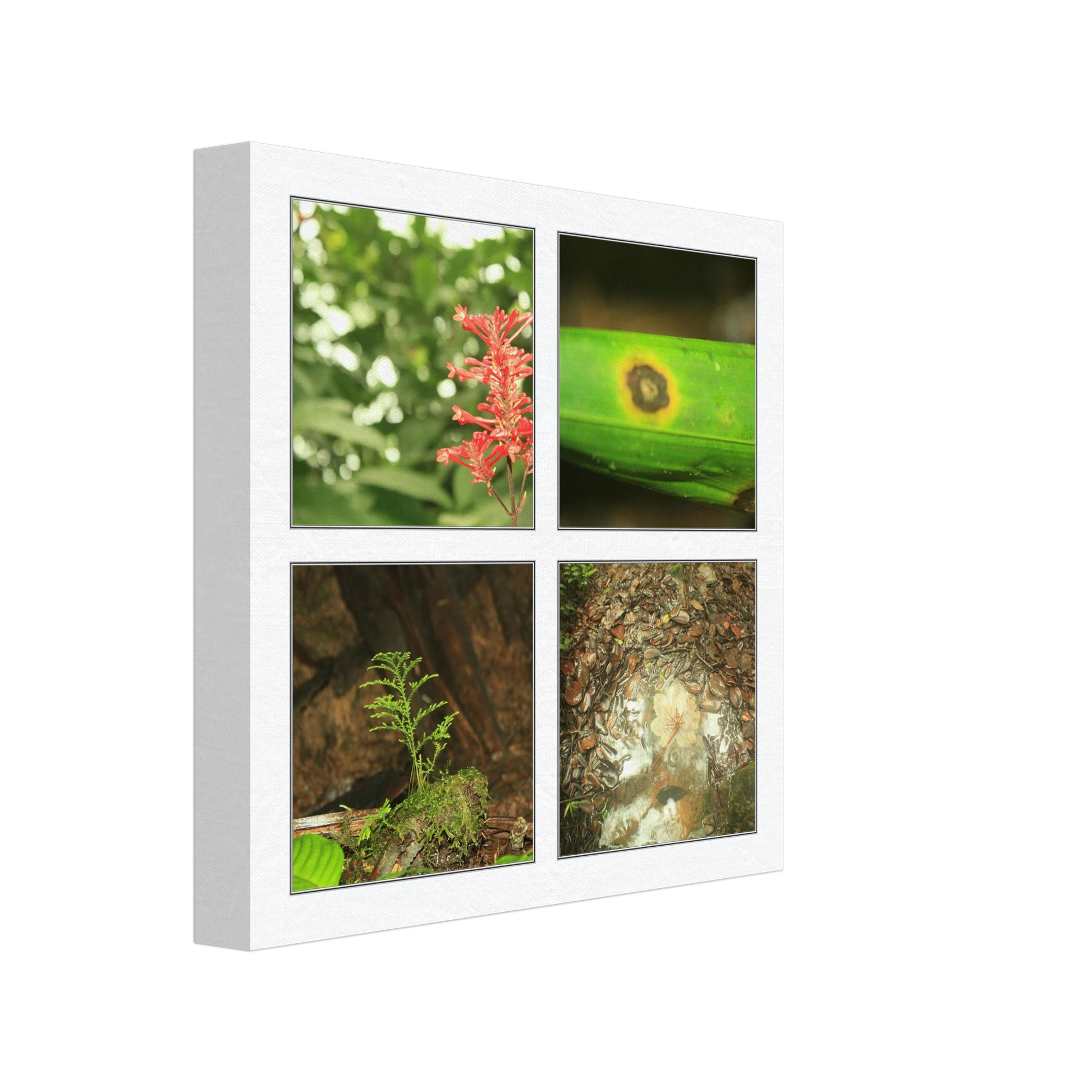 1f048457-a1fb-41bf-872e-2f3984a0ddf2