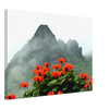 1f484afb-09c9-4775-ad26-4fbc0a9f1e4a