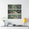 Deep Forest Explorations - El Yunque Holy Spirit River - Nikon D850 - Triptych Acrylic Print – Forest Creek Landscape Wall Art