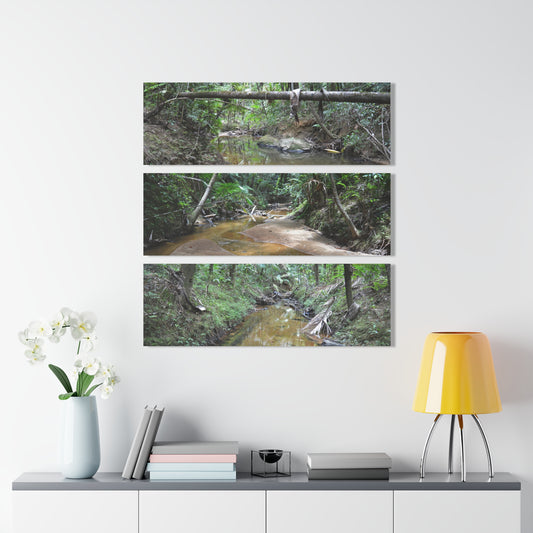 Deep Forest Explorations - El Yunque Holy Spirit River - Nikon D850 - Triptych Acrylic Print – Forest Creek Landscape Wall Art