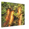 206663c1-ed89-45dd-896e-89faa4a3ae25