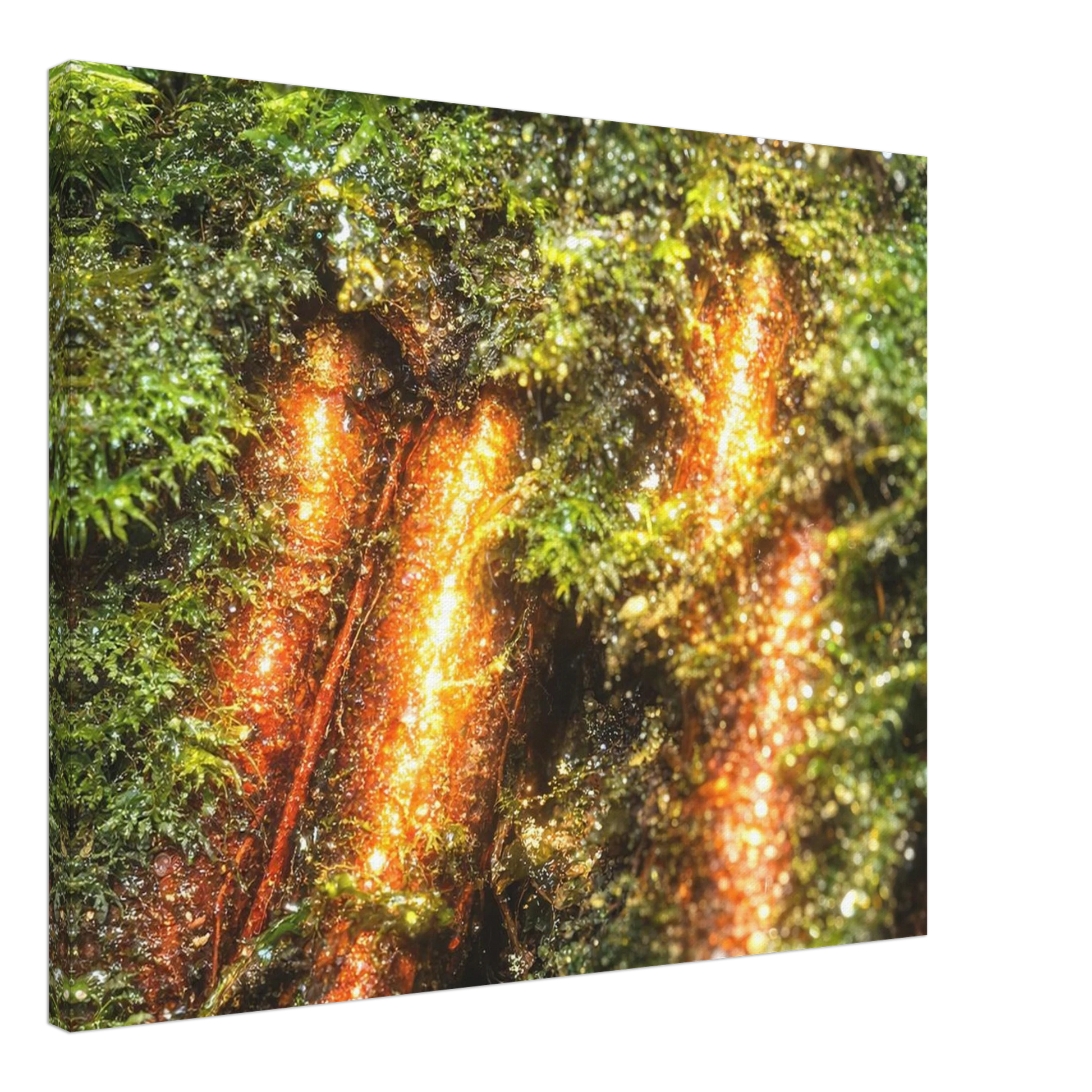 206663c1-ed89-45dd-896e-89faa4a3ae25