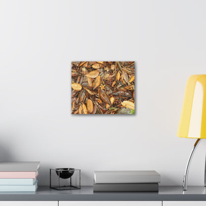 Autumn Leaf Floor Canvas Print — Deep Forest Explorations - El Yunque - Nikon D850 Stretched Wall Art (0.75")