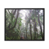 Tropical Vista Matte Canvas Framed Wall Art - Forest explorations - My son Jose is tired on El Yunque High-Forest (in the clouds) trail -  El Yunque rainforest PR