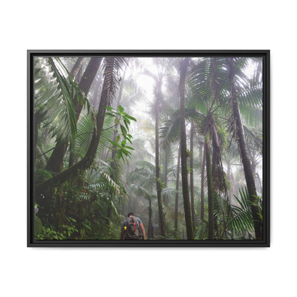 Tropical Vista Matte Canvas Framed Wall Art - Forest explorations - My son Jose is tired on El Yunque High-Forest (in the clouds) trail -  El Yunque rainforest PR