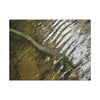 Rippling Stream Canvas Wall Art — Tranquil Forest Water Photography - Fallen sierra palm - Rio Sabana - El Yunque Rainforest - Puerto Rico - Deep forest explorations