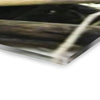 Mangled Bamboos, Rio Sabana Forest after Hurricane Maria in 2017 - Nikon D850 - Triptych Acrylic Print – Panoramic Jungle Wall Aert