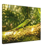 22c486ba-90e6-4018-bd17-f3012757a1de