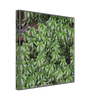 2332a9dd-4592-4666-ad07-8a5a4a199e32