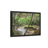 Framed Matte Canvas Wall Art — Tropical Rainforest Roots Photography - View deep in the forest in the Rio Sabana Trail