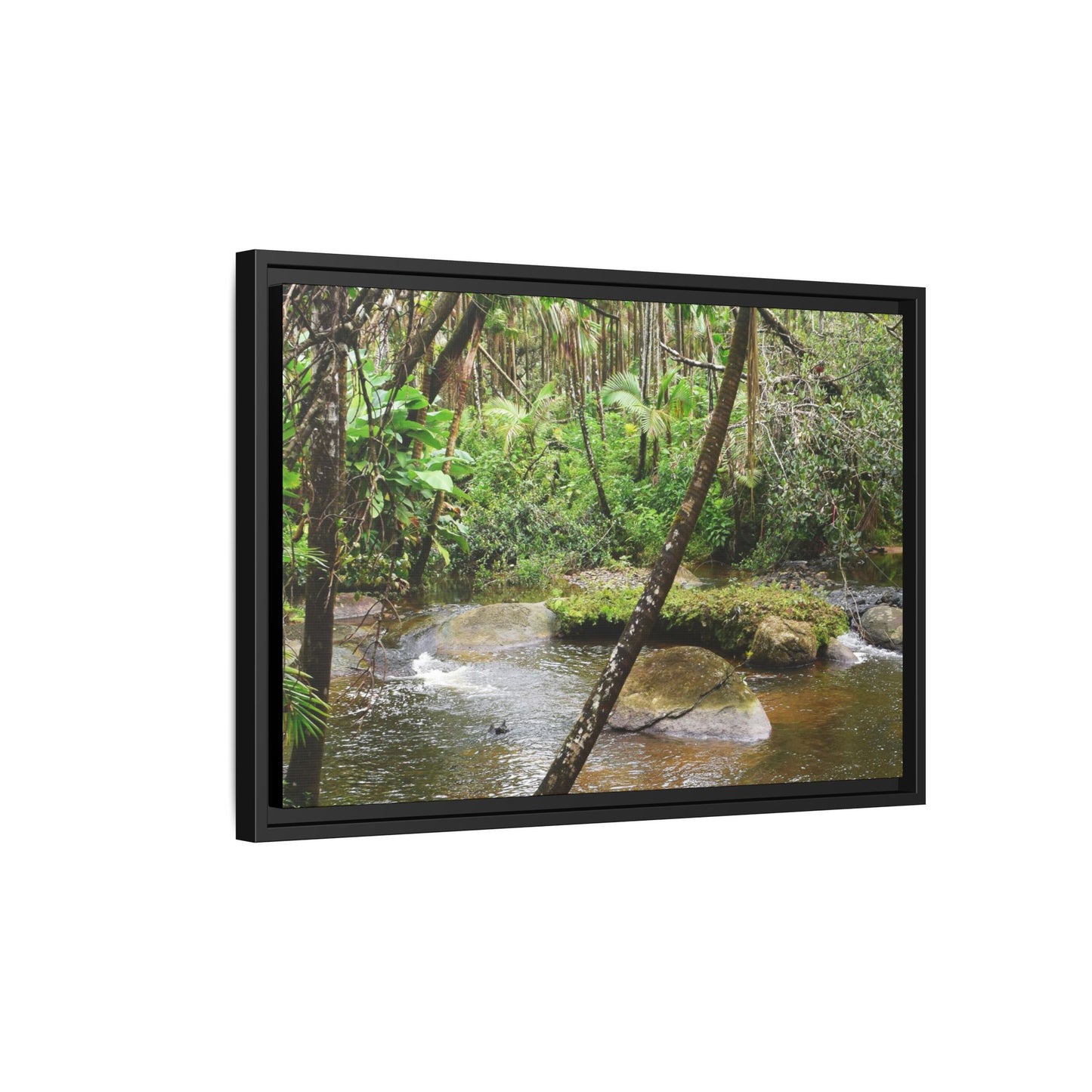Framed Matte Canvas Wall Art — Tropical Rainforest Roots Photography - View deep in the forest in the Rio Sabana Trail