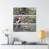 Deep Forest Explorations - Jose Explores - El Yunque Holy Spirit River - Nikon D850 - Nikon D850 - Triptych Acrylic Print – Forest Creek Landscape Wall Art