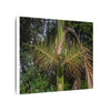 Tropical Fern Canvas Wall Art – Lush Rainforest Botanical Print - El Yunque Rainforest - Puerto Rico - Deep forest explorations - Sierra Palm seeds