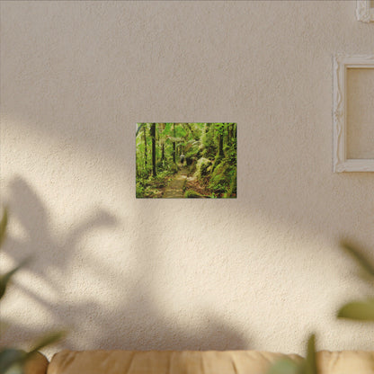 Forest Trail Matte Canvas Print – Lush Green Nature Wall Art - Hiker enjoys the BEAUTY - Mt Britton Trail - El Yunque Rainforest - Puerto Rico