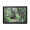 Tropical Vista Matte Canvas Framed Wall Art — Magic section of the remote Tradewinds Trail -  El Yunque rainforest PR