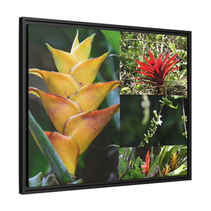 Tropical Vista Matte Canvas Framed Wall Art - Forest explorations - Deep in El Yunque rainforest PR - Mosaic#1 of the Flowers of El Yunque rainforest