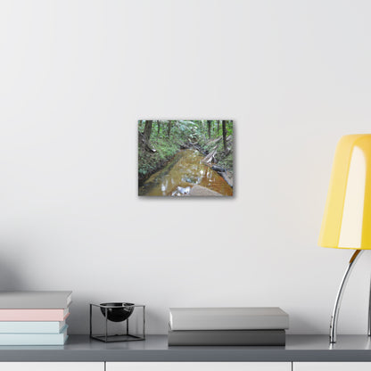 Deep Forest Explorations - El Yunque Holy Spirit River - Nikon D850 - Forest Creek Canvas Print - Stretched 0.75" Nature Wall Art