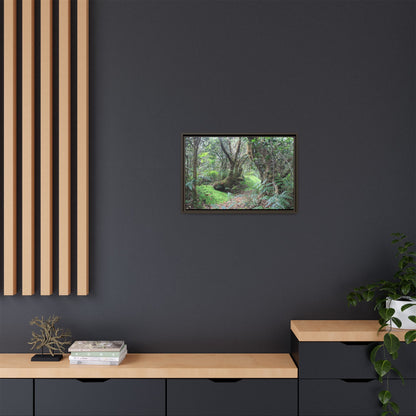 Tropical Vista Matte Canvas Framed Wall Art — Magic section of the remote Tradewinds Trail -  El Yunque rainforest PR