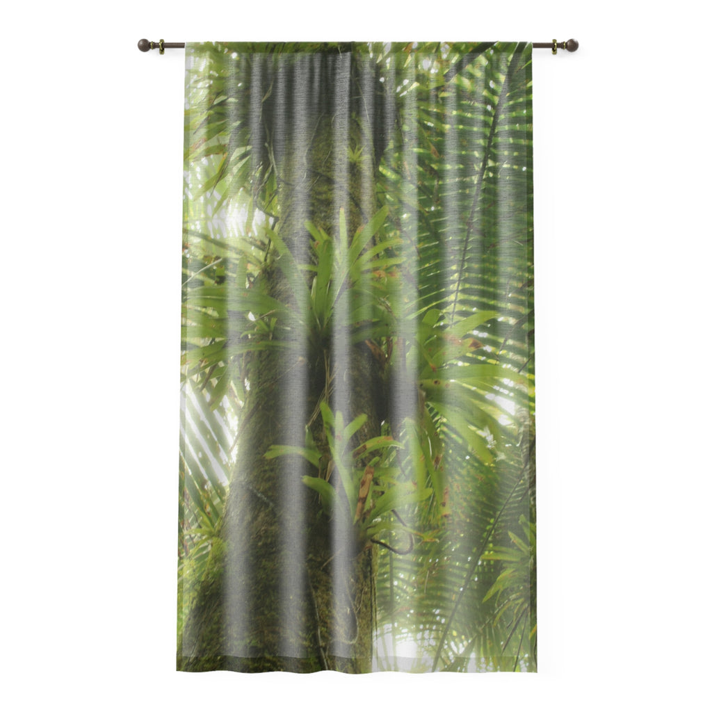 Tropical Jungle - Huge Tree with Bromeliads near River - Magic Section - Window Curtain - Lush Rainforest Print Sheer Drapery - View in El Yunque rainforest - Puerto  Rico - Nikon